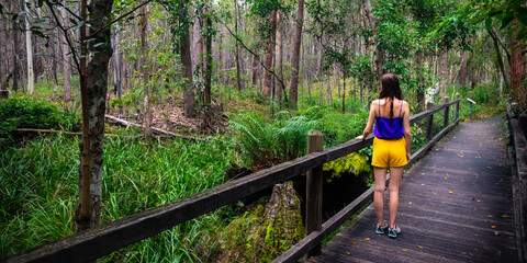 Fototapeta na wymiar Beautiful girl in colorful clothes andmires and walks in Brisbane Koala Bushlands Park, Queensland, Australia