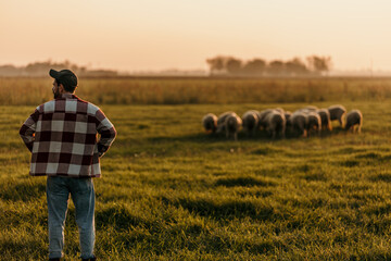 Shot of a young farmer tending to his herd of livestock in the field.