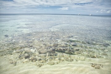 Fototapeta na wymiar Dreamlike idyllic beach of Siquijor in the Philippines, in the foreground crystal clear sea.