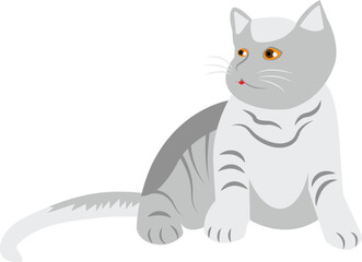 Grey cat vector image