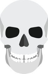 Skull Vector image or clipart