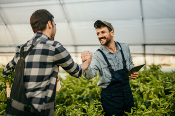 Two farmers standing in a field in the greenhouse. Two men talking and handshaking while using...