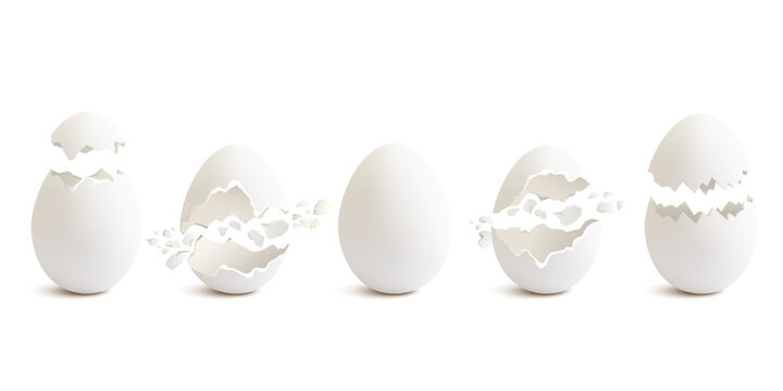 Set of different white eggs, broken cracked eggs, isolated on white.	