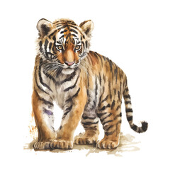 Fototapeta premium Illustration of funny watercolor tiger. Graphics for fabric, t-shirt, greeting card, sticker. Illustration by Generative Ai 