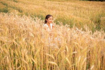 Naklejka na ściany i meble Young Asian women in white dresses in the Barley rice field season golden color of the wheat plant at Chiang Mai Thailand