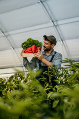 Shot of a young man holding a crate of fresh produce while working in a greenhouse on a farm.