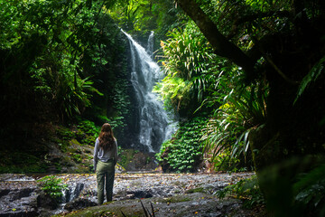 hiker girl stands gazing at an amazing tropical waterfall (elabana falls) in lamington national park near gold coast and brisbane in queensland, australia; rainforest waterfall amidst lush vegetation - obrazy, fototapety, plakaty