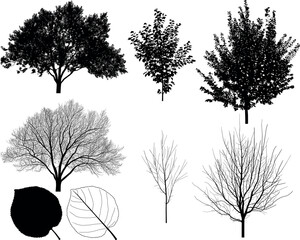 Collection of silhouettes of apricot trees and leaves