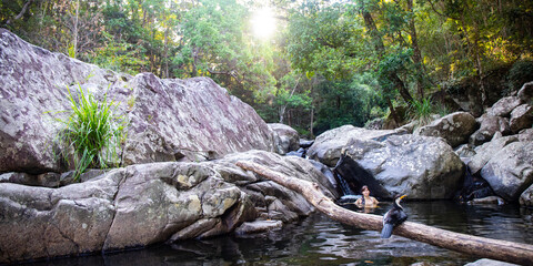 Fototapeta premium Beautiful girl takes a dip in cedar creek swimming holes and admires Australian pied cormorant sitting on a branch. Hidden gem near Brisbane, Queensland, Australia