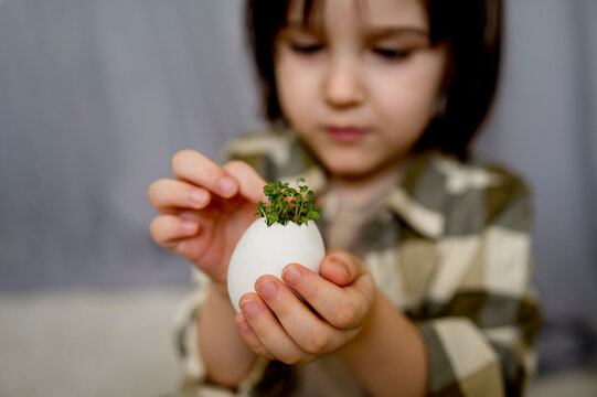 Boy examining seedling in white eggshell