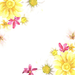 bright summer frame of field and garden flower buds. watercolor illustration.
