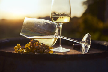 Two glasses of white wine on a wooden barrel with ripe yellow grapes at sunset