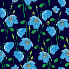 Raster illustration. Himalayan blue poppy flower pattern on navy blue background seamless repeat pattern.