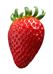 Single strawberry isolated