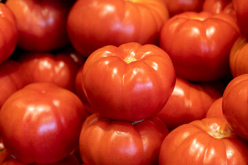 Red tomato background. Tomato group. close up