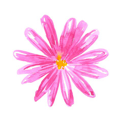 Pink abstract daisy. Hand drawn watercolor isolated on white background. Can be used for cards, patterns, label.