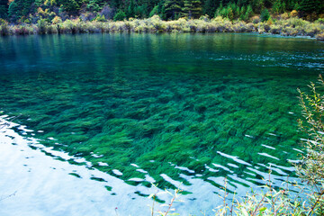 Natural Landscape Beauty of Jiuzhaigou Valley