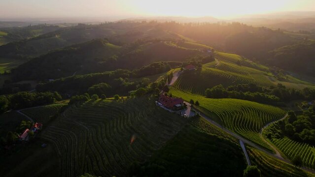 Aerial drone 4K footage of wine cottage Malek which lies in the in the hills northeast of Ormož in northeastern Slovenia.