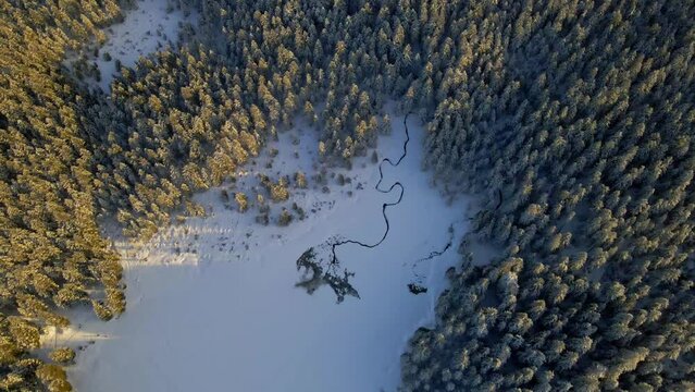 Aerial 4K drone footage of Črno jezero or Black lake on Pohorje. It lies between Osankarica and Veliki vrh at 1200 m above sea level.