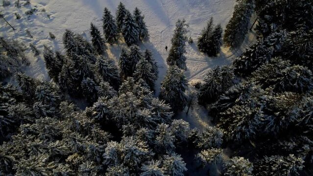Aerial 4K drone footage of Črno jezero or Black lake on Pohorje. It lies between Osankarica and Veliki vrh at 1200 m above sea level.
