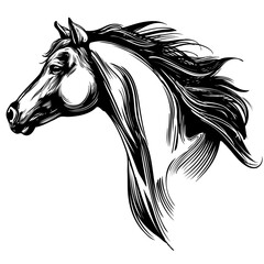 horse, horse head logo, hand drawn vector illustration realistic sketch