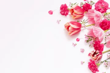 beautiful spring flowers on white  background © Maya Kruchancova