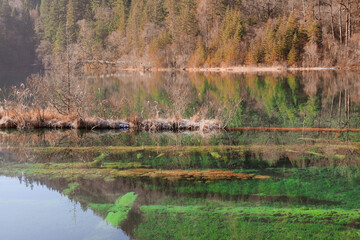 Natural Beauty of Jiuzhaigou Valley