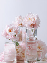 Obraz na płótnie Canvas pink flowers