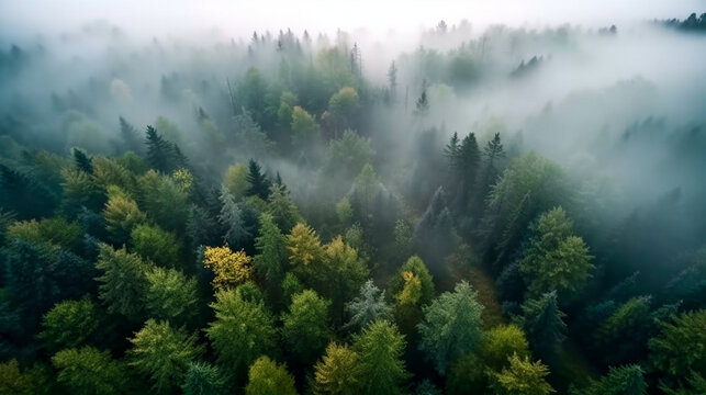 Fog in forest aerial view. Generative AI © Fantastic