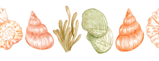 Hand drawn watercolor seashells and seaweed seamless boarder. Isolated on white background. Can be used for textile, fabric, banner.