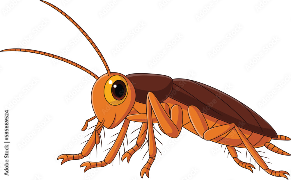 Canvas Prints cute cockroach cartoon on white background