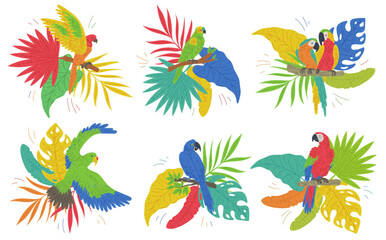 Fototapeta na wymiar Colorful set of parrots on tropical leaves flat vector illustration isolated.