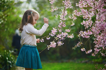 Adorable preschooler girl enjoying nice spring day in park during cherry blossom season