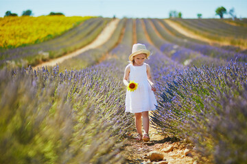 Adorable 4 year old girl in white dress and straw hat walking through rows of lavender near...