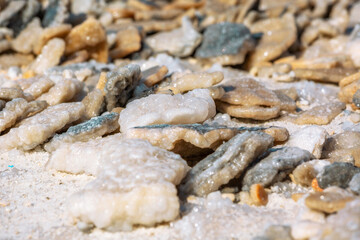 Close-up of Dead Sea salt mineral natural formation crystals in Jordan