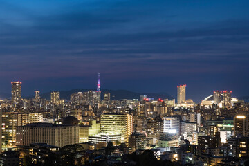 Fototapeta na wymiar 福岡タワーと福岡ドームの見える南公園西展望台から望む福岡の夜景