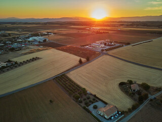 View of lavender field at sunset in the middle of July near Valensole, Provence, France