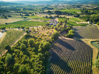 Aerial scenic Mediterranean landscape with lavender fields in Provence, France