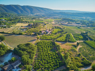 Aerial Mediterranean landscape with cypresses, olive trees and vineyards in Provence, Southern France