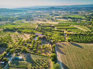 Aerial Mediterranean landscape with cypresses, olive trees and vineyards in Provence, Southern France