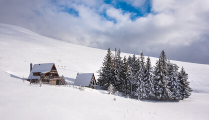 Winter landscape, group of trees and a house covered with snow