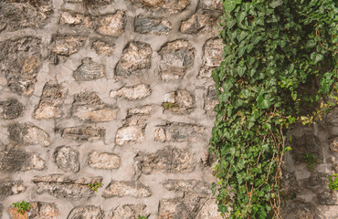 Grunge wall background with old weathered stones and plants texture