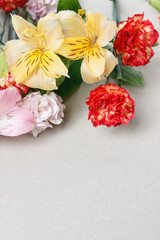 Alstroemeria flowers (Peruvian lily or Lily of the Incas) and carnations on paper background.