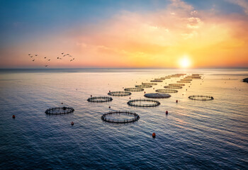 High angle aerial view of a a fish farm off the coast in the blue, mediterranean sea in Greece...