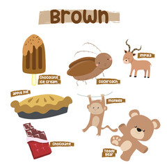 Set of brown color objects. Primary colours flashcard with brown elements. Learning colors for kids. Learning material for toddlers. Vector illustration file
