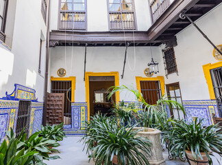 Fototapeta na wymiar Beautiful Andalusian patio in the Santa Cruz neighborhood, Seville, Andalusia, Spain