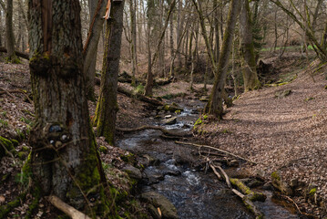 Morgenbachtal, Trechtingshausen