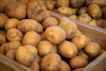 Crate of Potatoes
