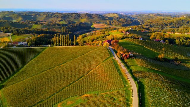 Aerial drone 4K footage of Prlekija which is a picturesque region in northeastern Slovenia known for its rolling hills, lush vineyards, and rich cultural heritage.