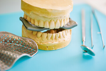 dental prosthetic plaster teeth,  dental braces